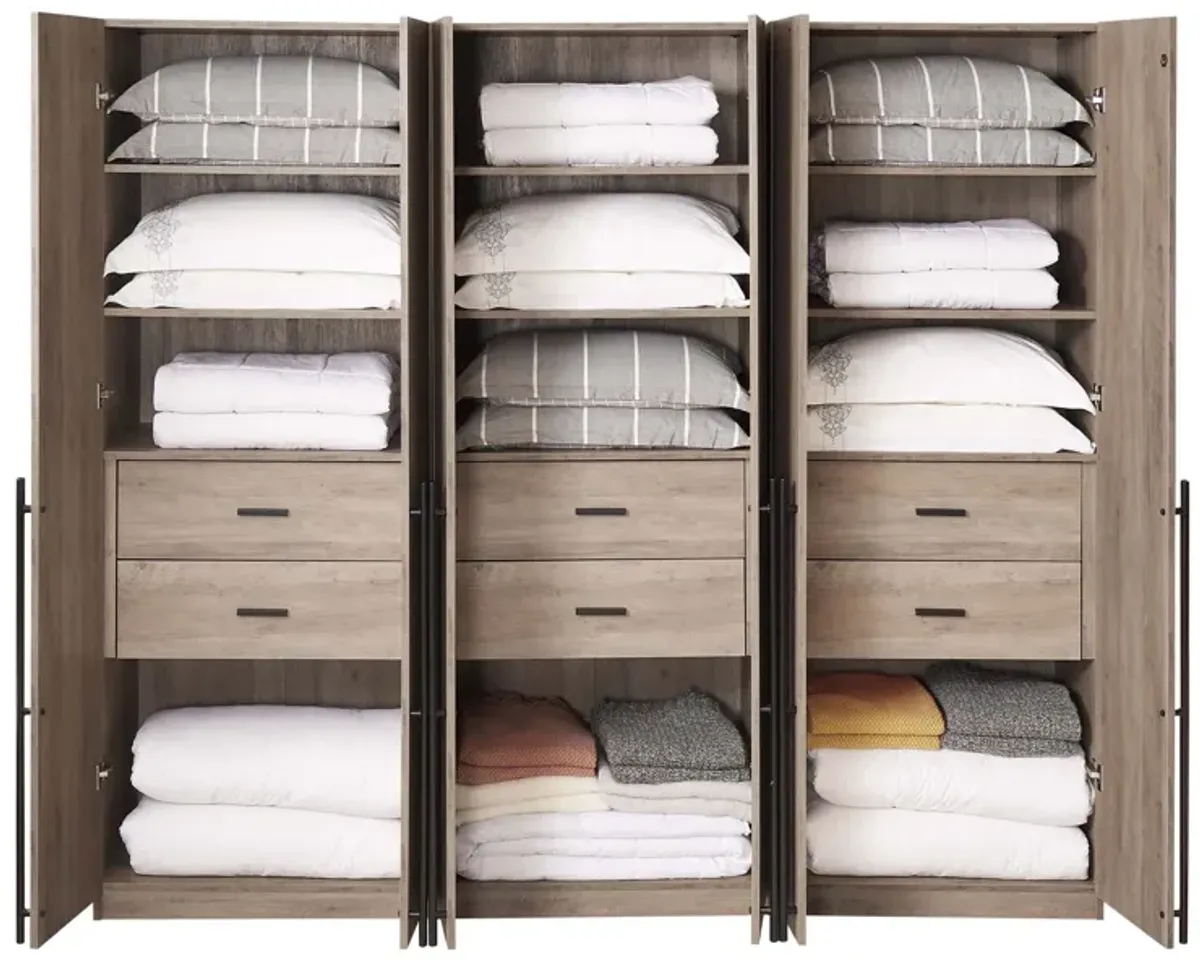 Lee Wardrobe 1.0 in Gray (Set of 3)