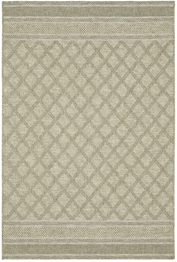 Tortuga 5'3" x 7'3" Beige Rug