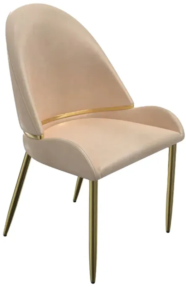 Mior Dining Chair Set of 2, Champagne Faux Leather, Gold Metal Accents