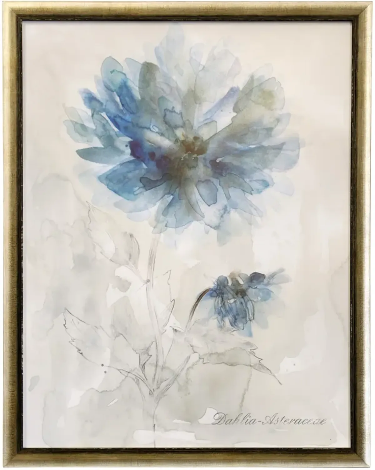 Blue Dahlia