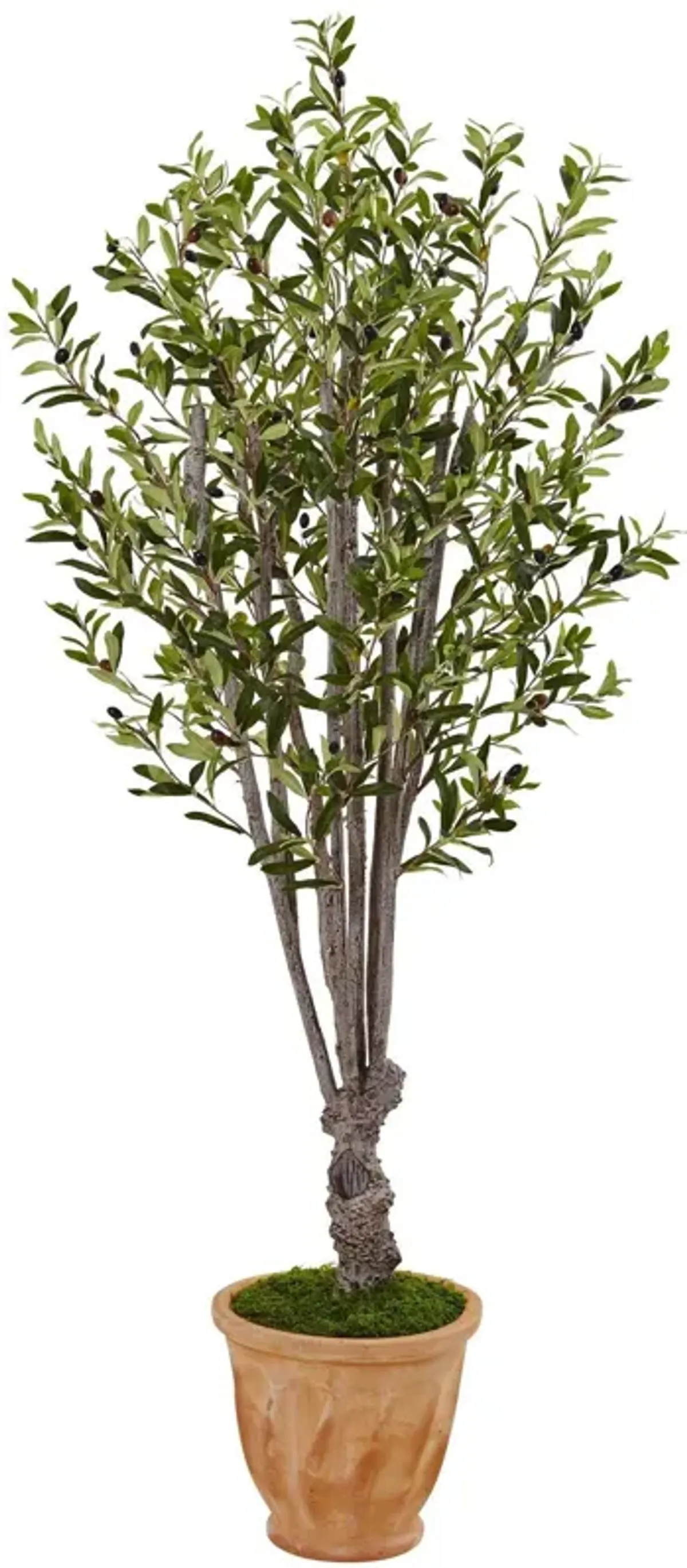 Nearly Natural 5-ft Olive Tree in Terracotta Planter
