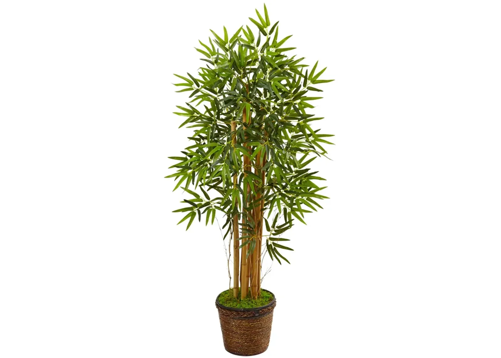 HomPlanti 4.5 Feet Bamboo Tree in Coiled Rope Planter