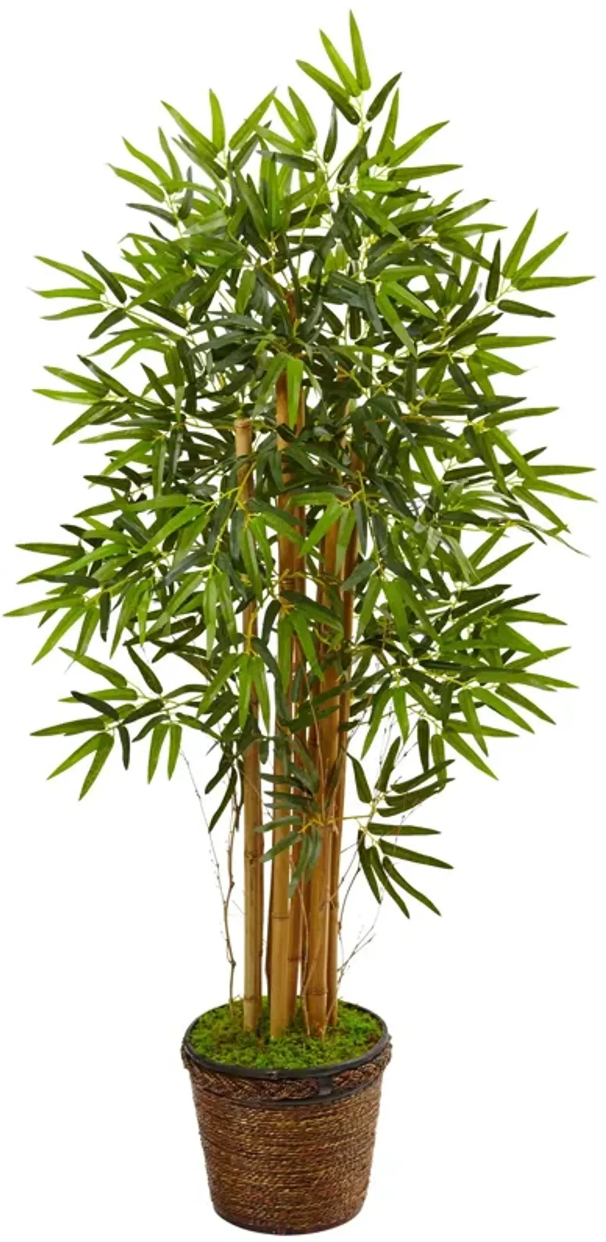 HomPlanti 4.5 Feet Bamboo Tree in Coiled Rope Planter