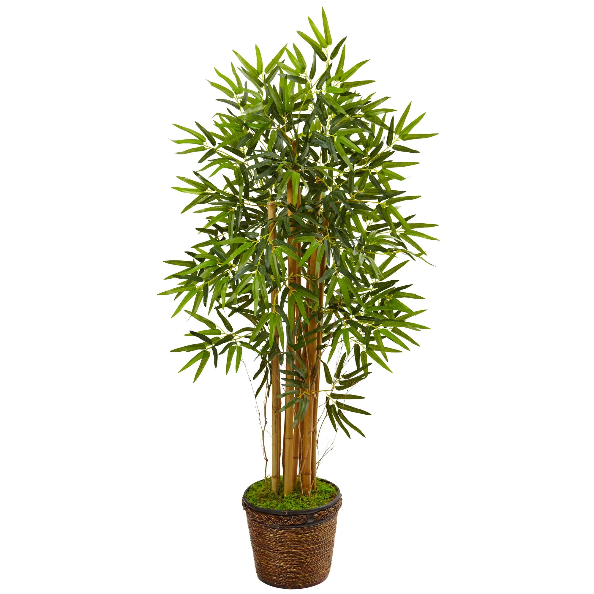 HomPlanti 4.5 Feet Bamboo Tree in Coiled Rope Planter