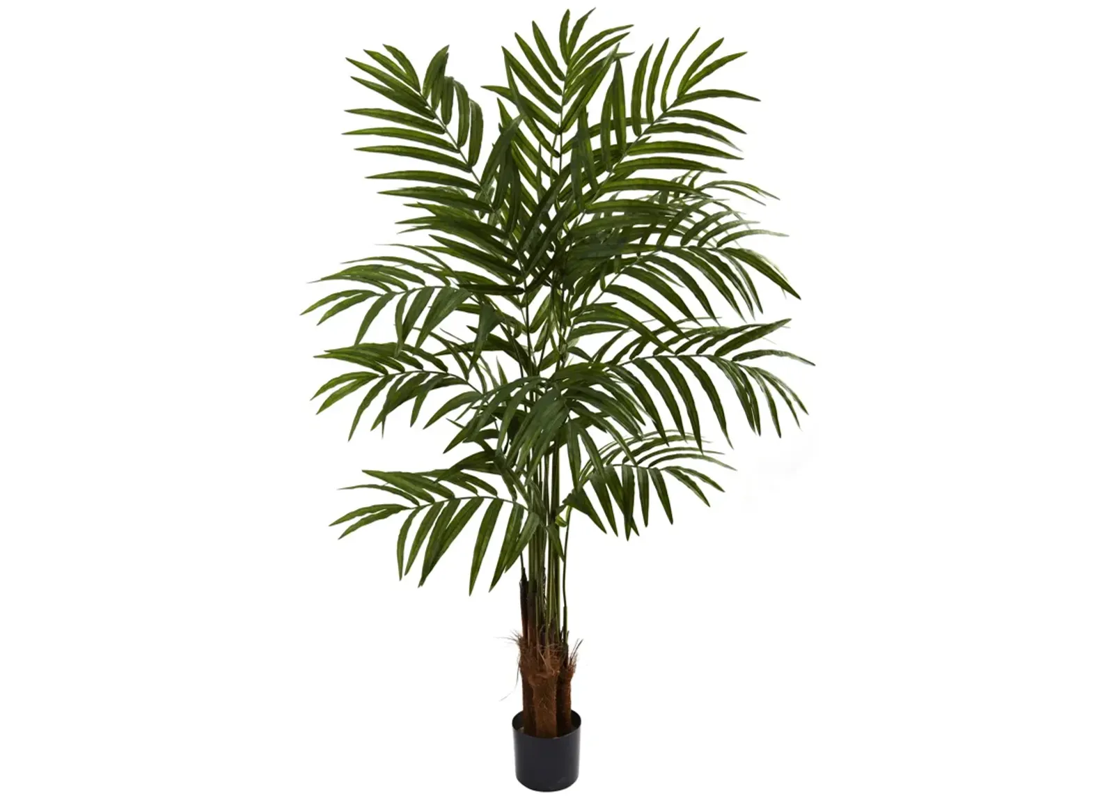 HomPlanti 5 Feet Feet Big Palm Tree