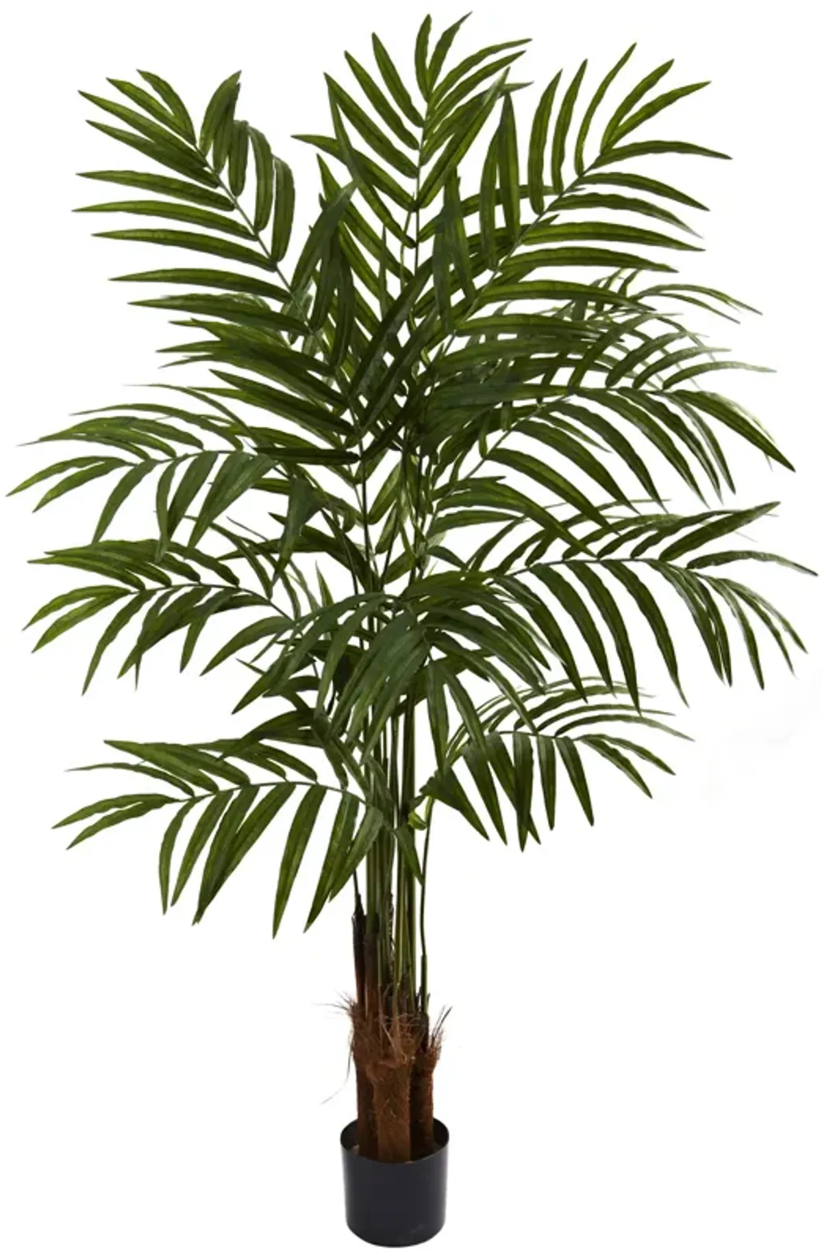 HomPlanti 5 Feet Feet Big Palm Tree