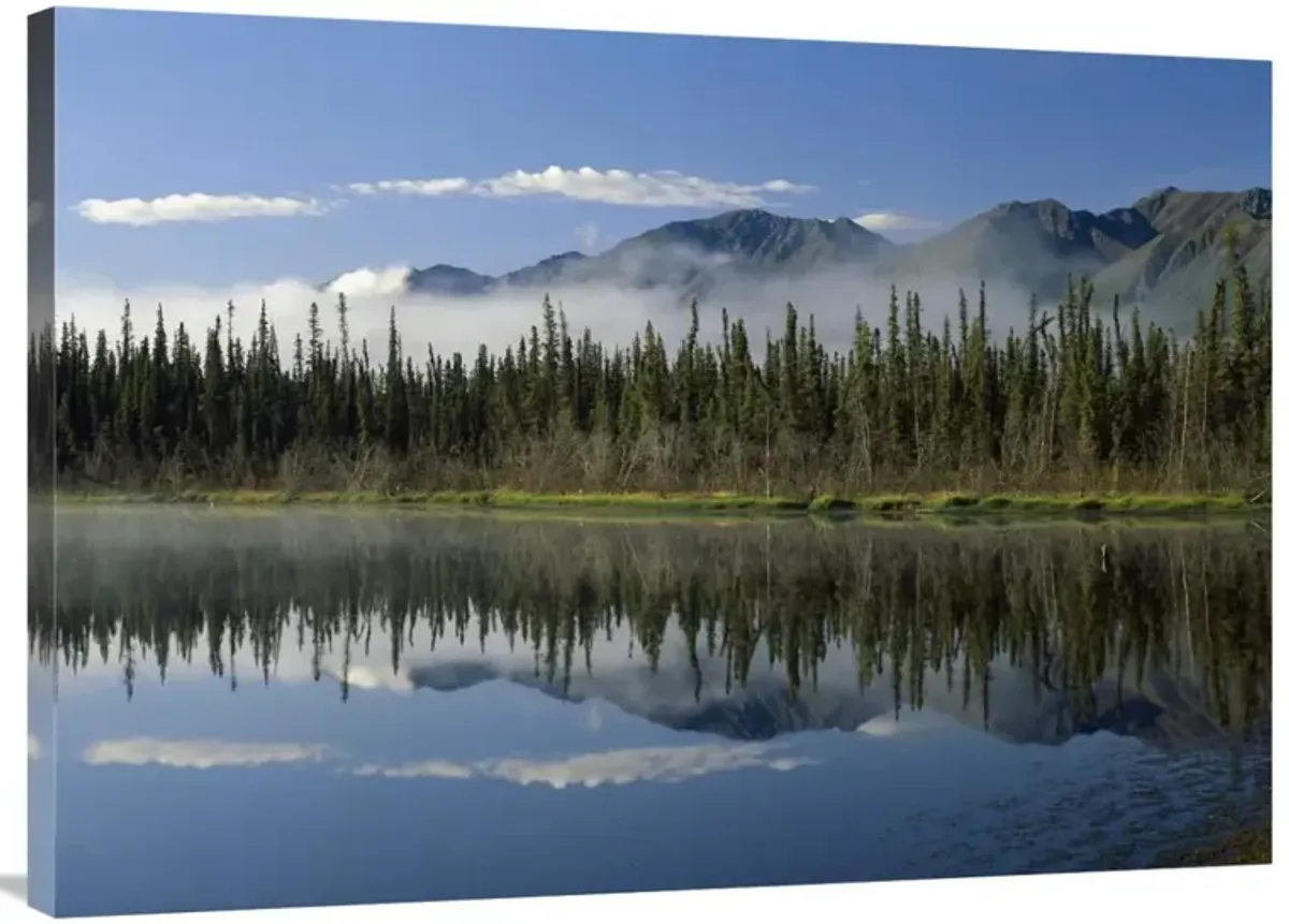 Boreal forest along lake edge, Nutzotin Mountains, Alaska-Canvas Art-40x30