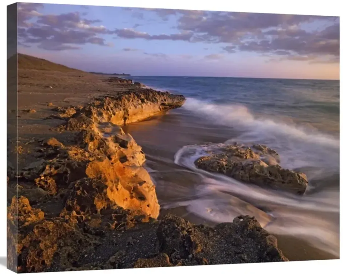Beach at dusk, Blowing Rocks Preserve, Florida-Canvas Art-28x22