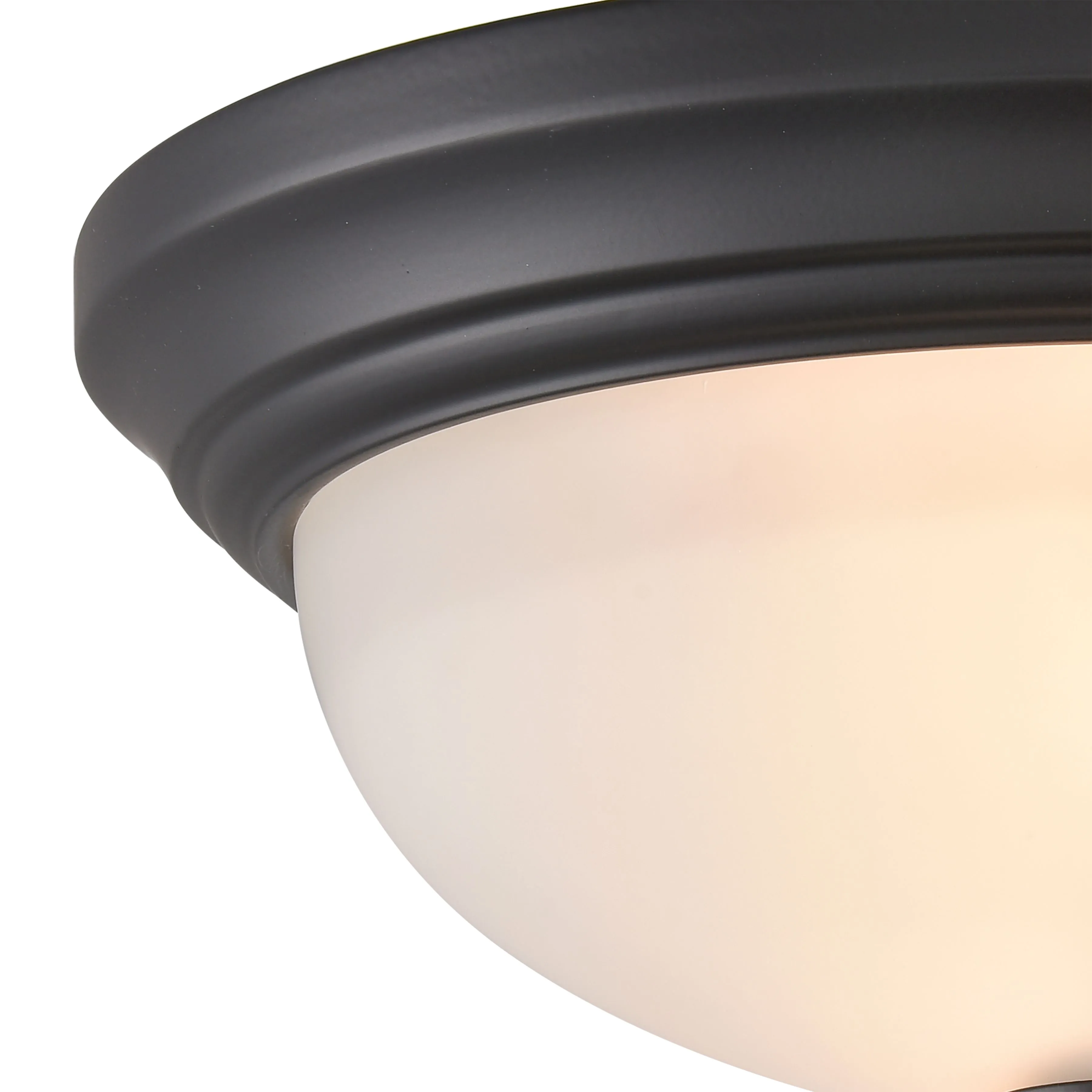 Basics 11'' Wide 2-Light Black Flush Mount