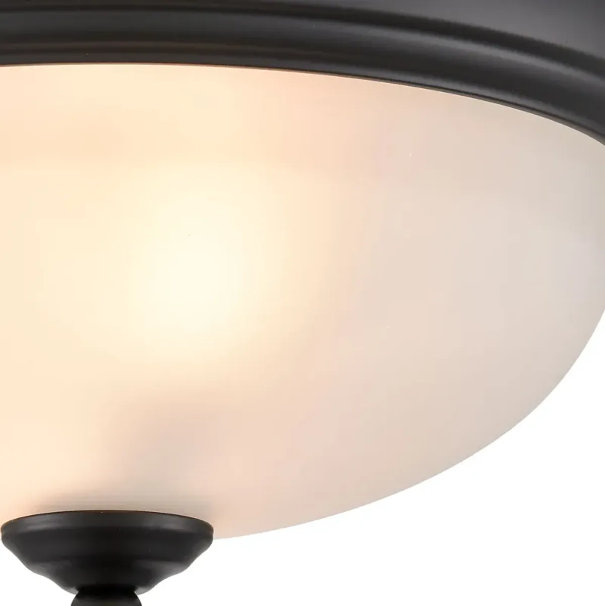 Basics 11'' Wide 2-Light Black Flush Mount