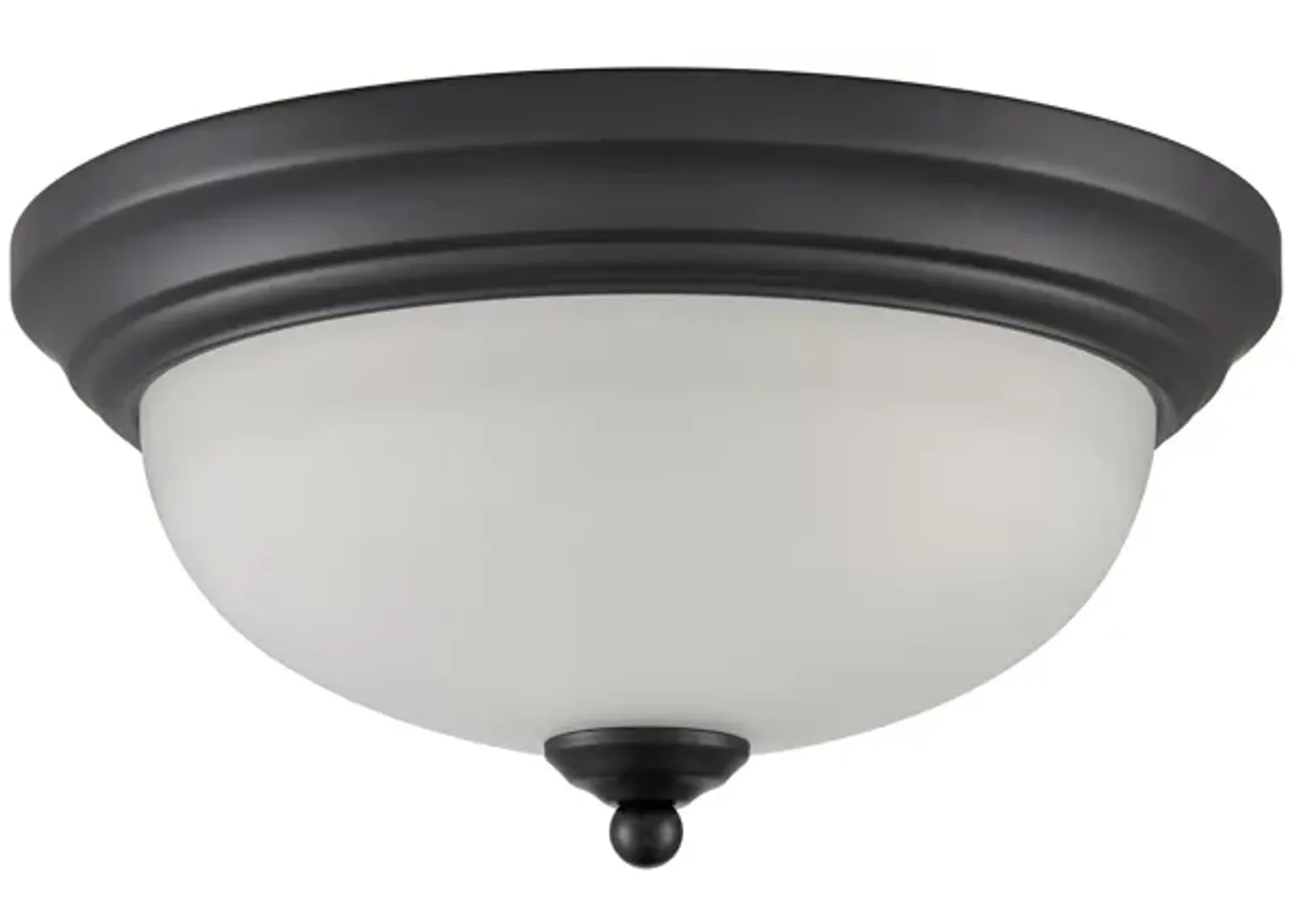 Basics 11'' Wide 2-Light Black Flush Mount