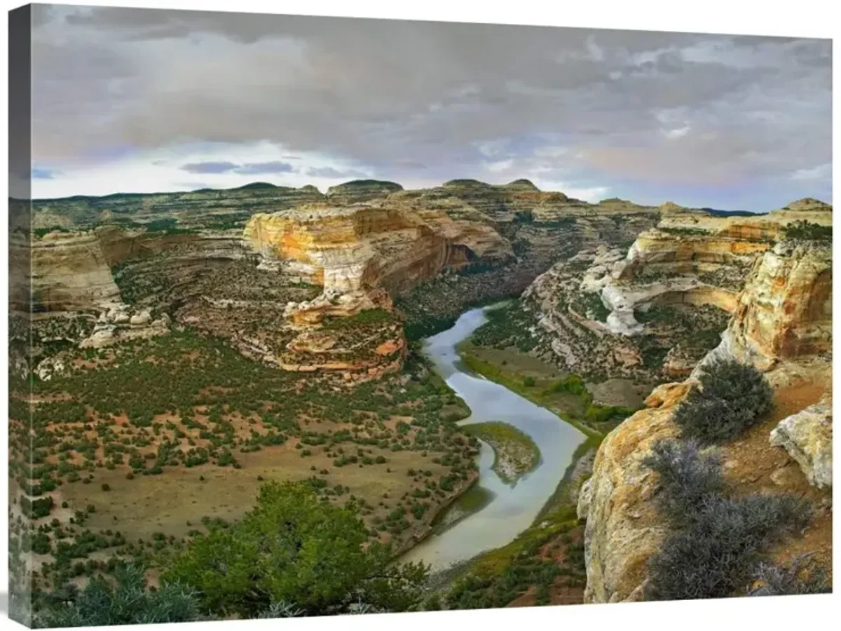 Yampa River flowing through canyons, Dinosaur National Monument, Colorado-Canvas Art-32x24
