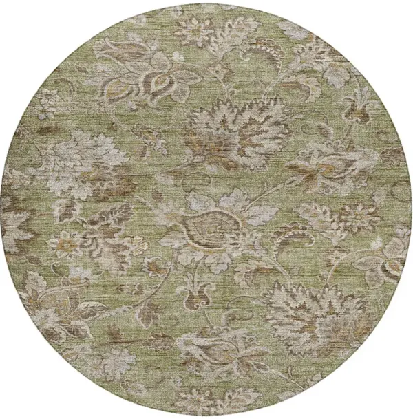 Silk Road SR1 Aloe 8' Round Rug
