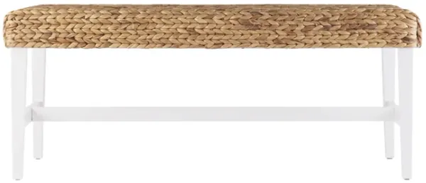 Berwick Water Hyacinth Bench