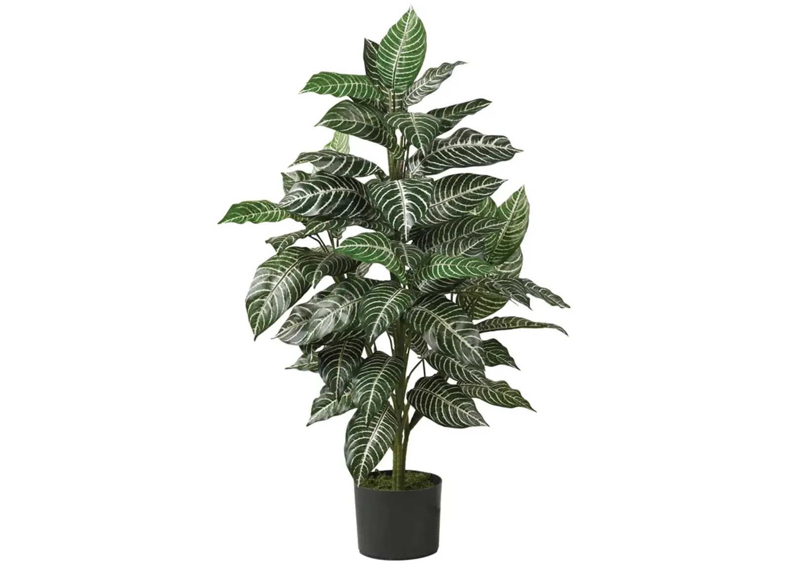 HomPlanti 3' Zebra Silk Plant