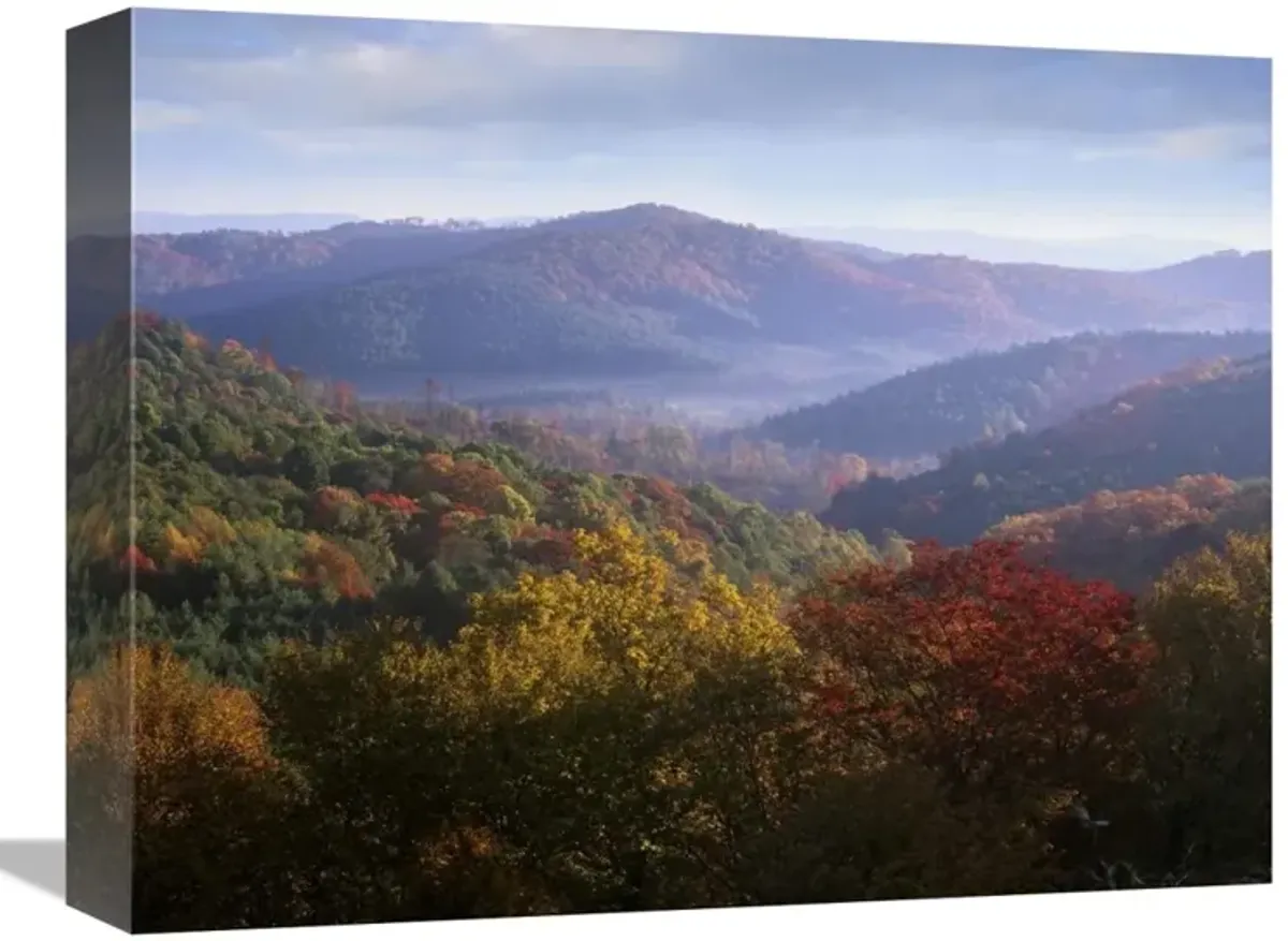 Autumn deciduous forest from the Blue Ridge Parkway, North Carolina-Canvas Art-16x12
