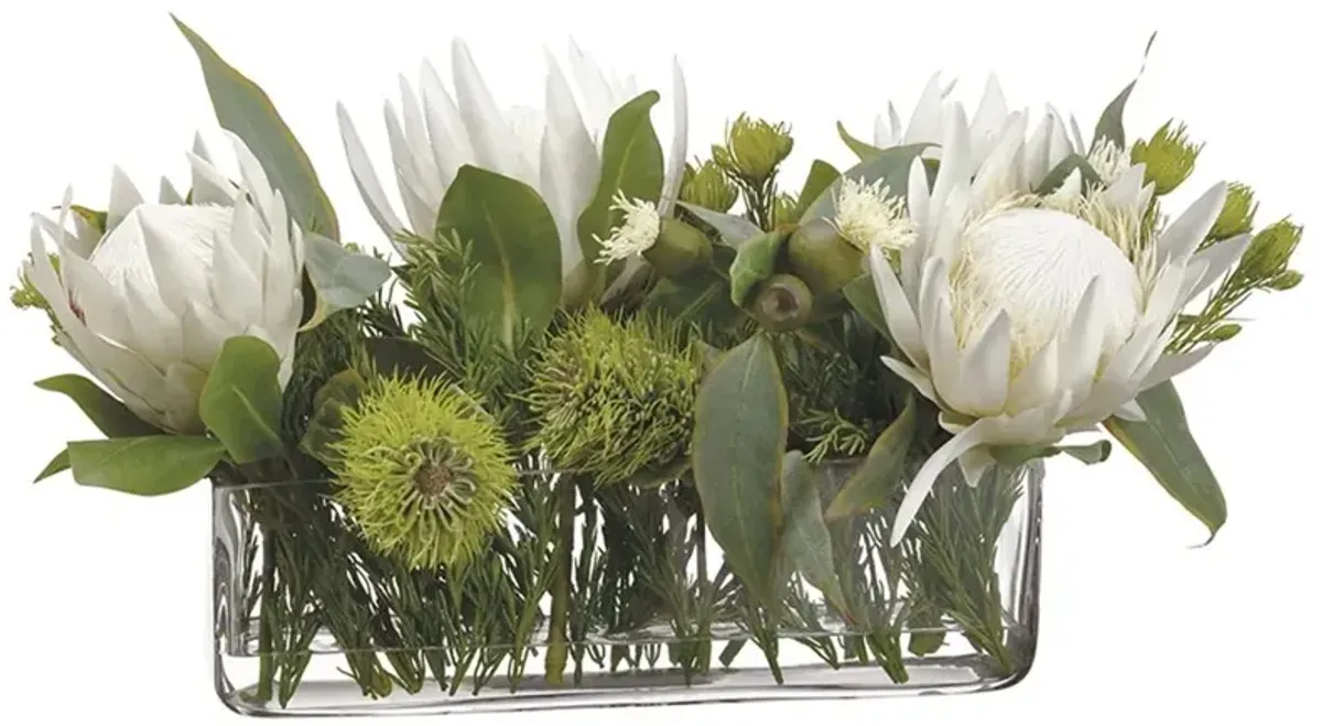 Protea/Eucalyptus/Wolly in Vase