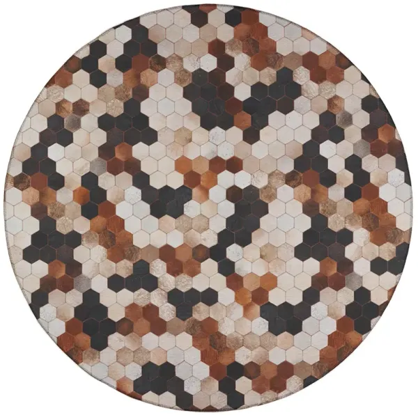 Stetson SS9 Canyon 6' Rug