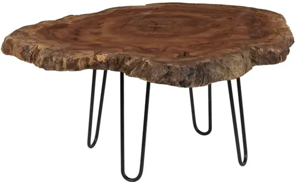 Burled Large Coffee Table