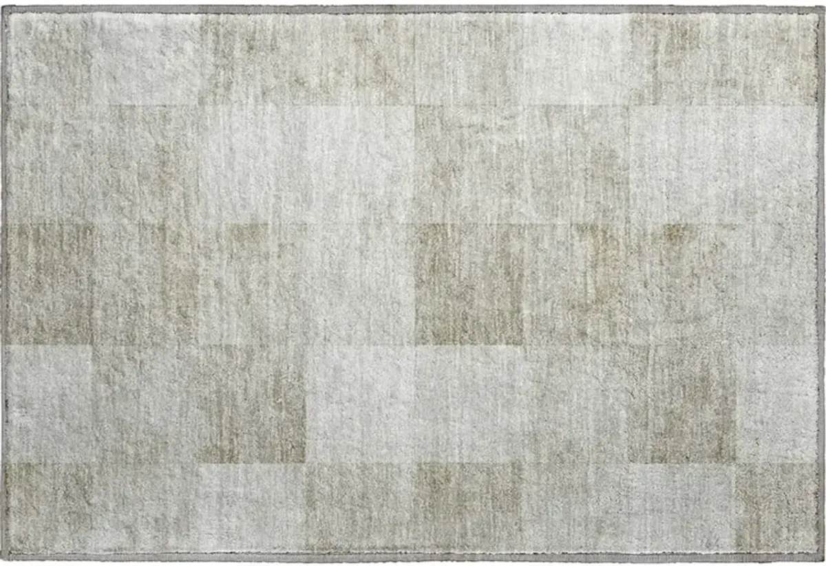 Pacifica PA10 Beige 20" x 30" Rug