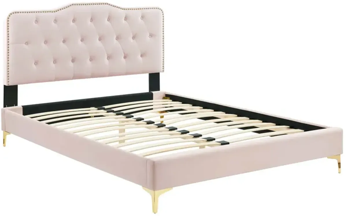 Modway - Amber Performance Velvet Queen Platform Bed