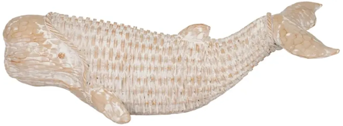 Coastal Wicker Beluga Whale