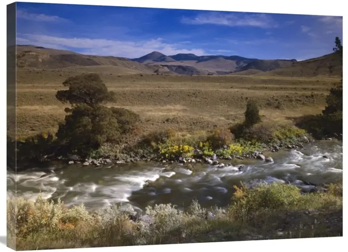 River flowing though meadow, Yellowstone National Park, Wyoming-Canvas Art-32x24