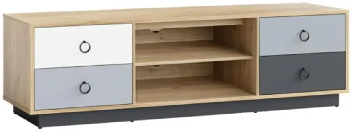 Hivvago Modern 55 Inch TV Stand with 2 Storage Cabinets for TVs up to 60 Inch