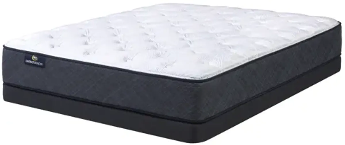 Perfect Sleeper Bluestem Plush King Mattress