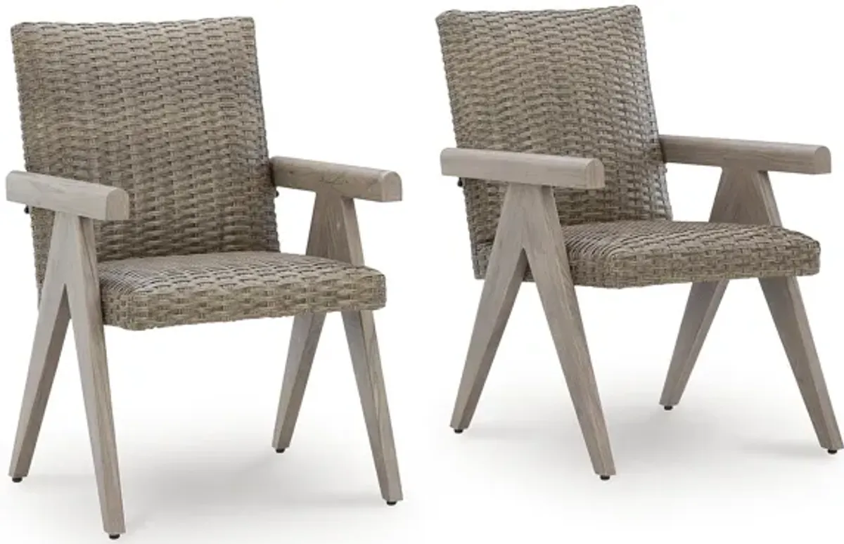 Carisbo Outdoor Arm Chair (Set of 2)