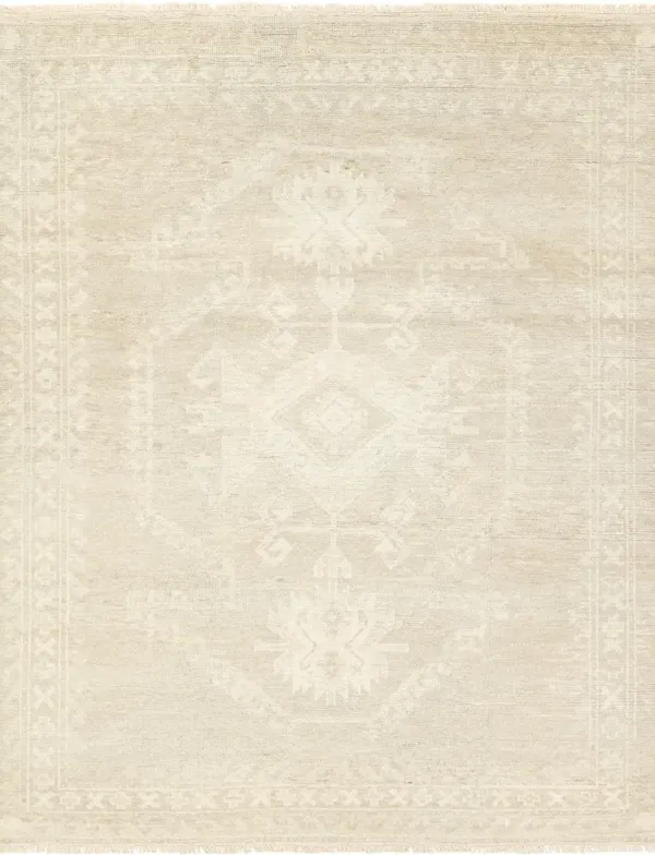 Ashend Vavite Tan/Taupe 8' x 10' Rug
