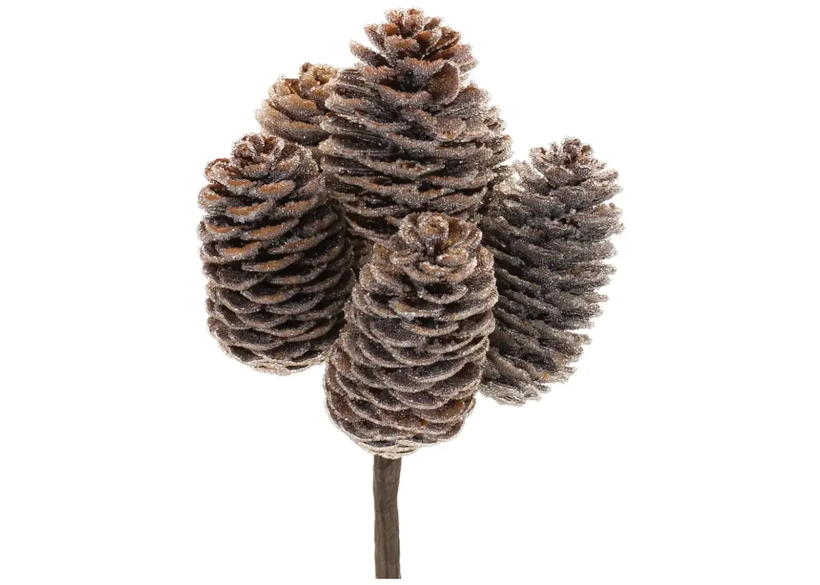 Pine Cone Bundle (Set of 12)