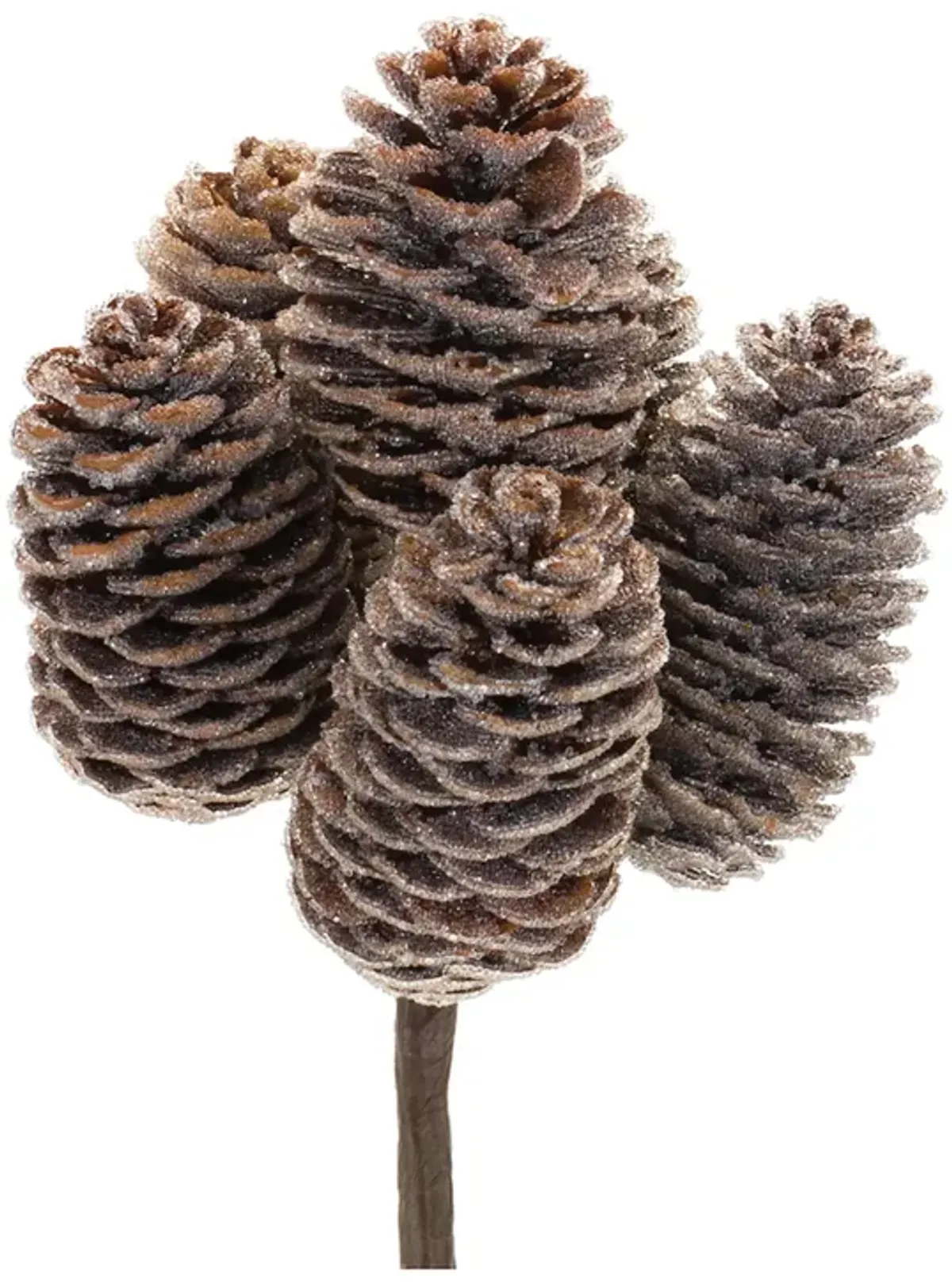 Pine Cone Bundle (Set of 12)