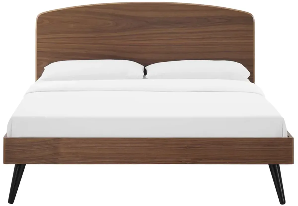 Modway - Bronwen Queen Wood Platform Bed Walnut