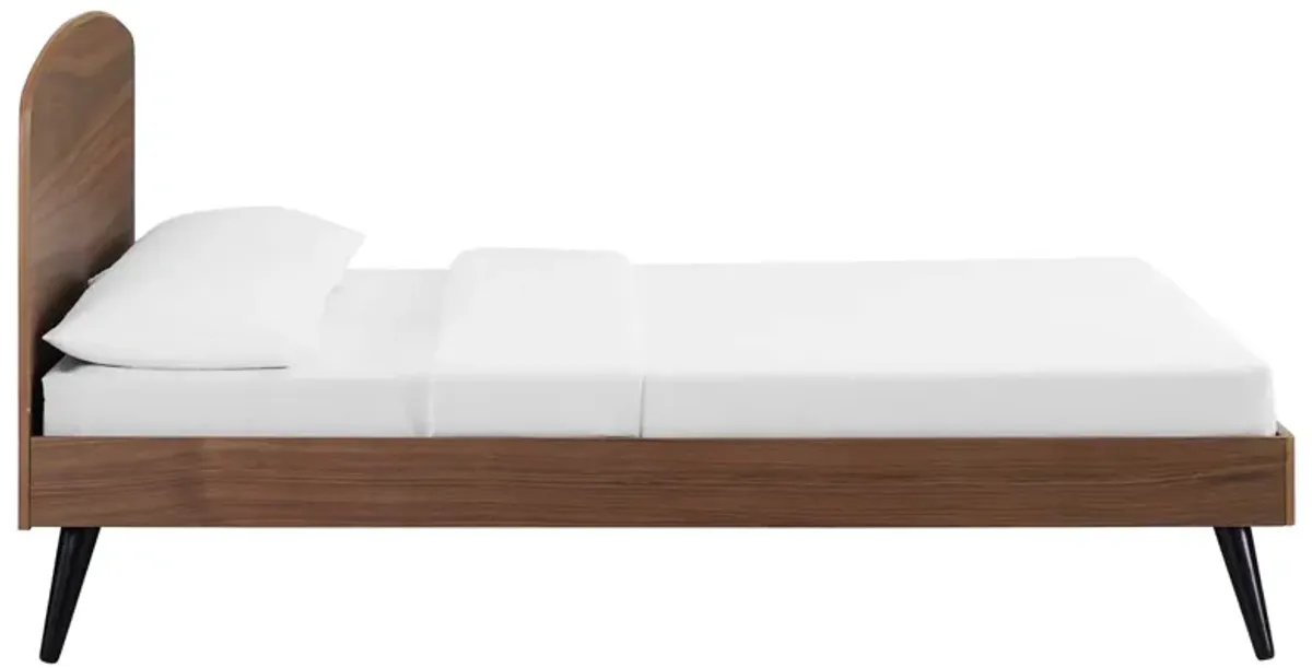 Modway - Bronwen Queen Wood Platform Bed Walnut