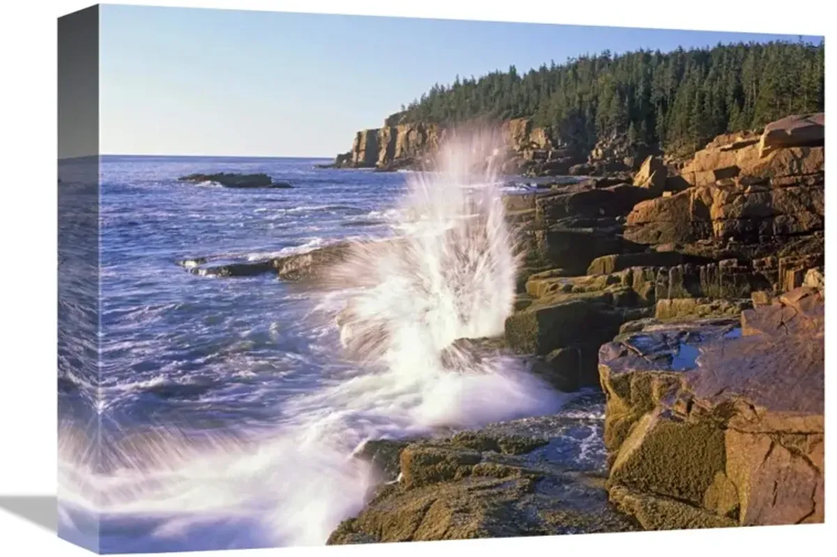 Atlantic Coast near Thunder Hole, Acadia National Park, Maine-Canvas Art-16x12