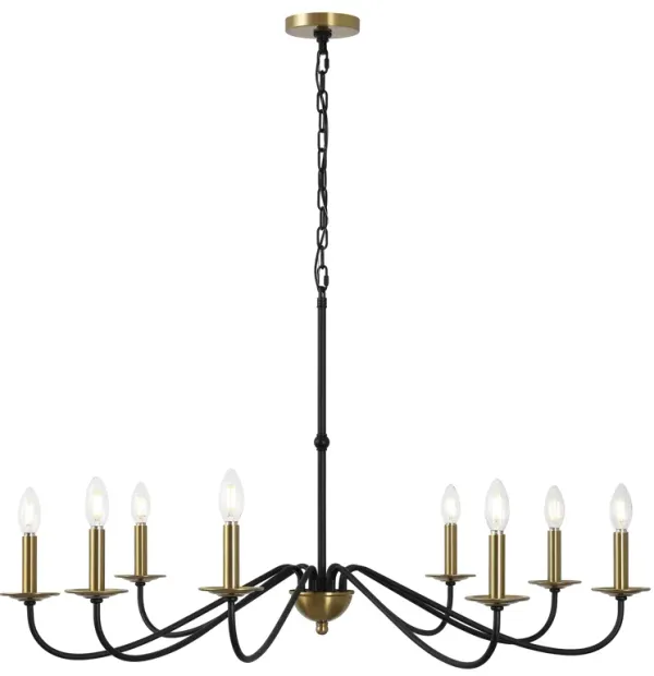 Wicklow Bohemian Farmhouse Iron LED Chandelier