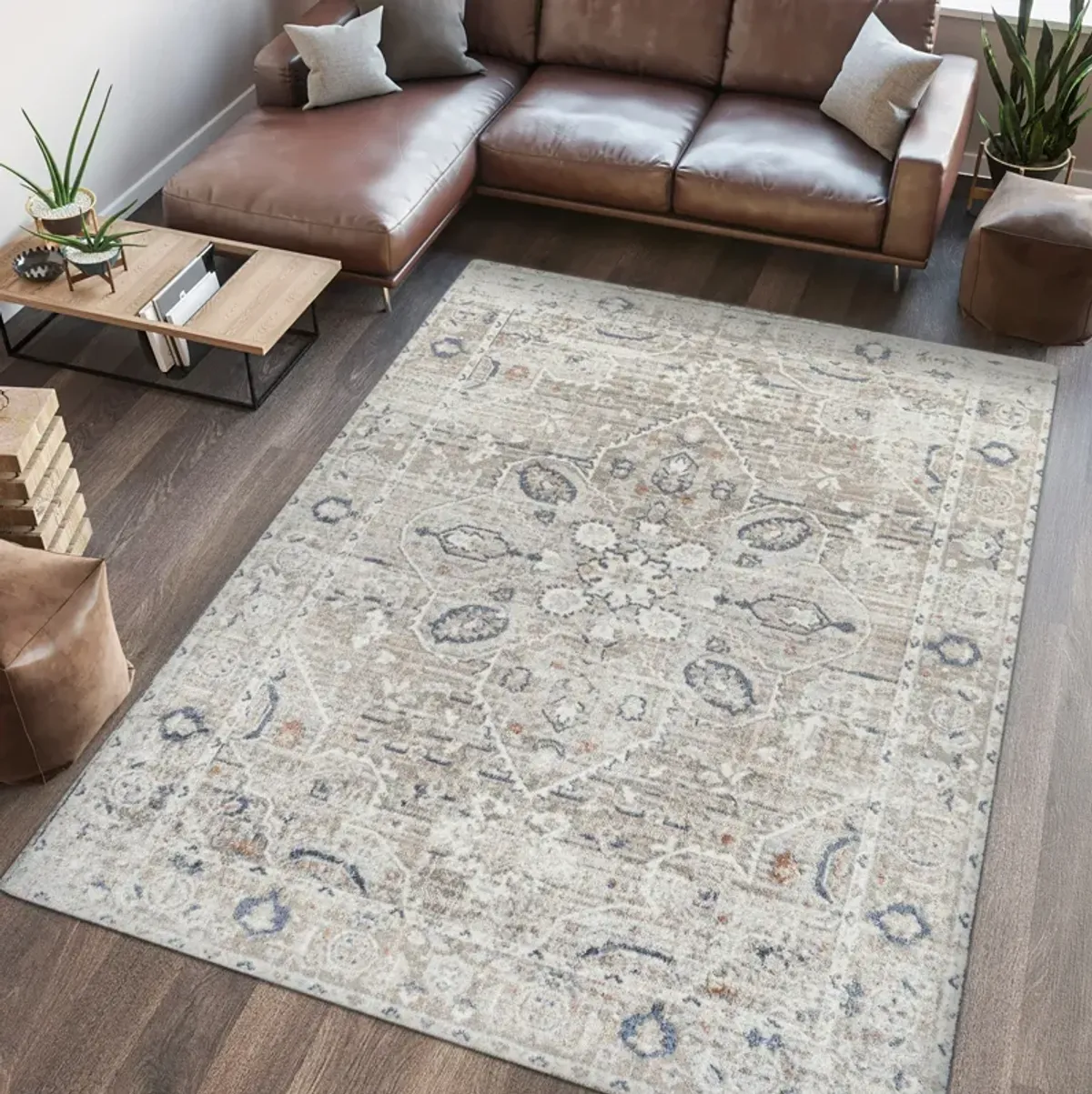 Shaii Global Medallion Low-Pile Machine-Washable Area Rug