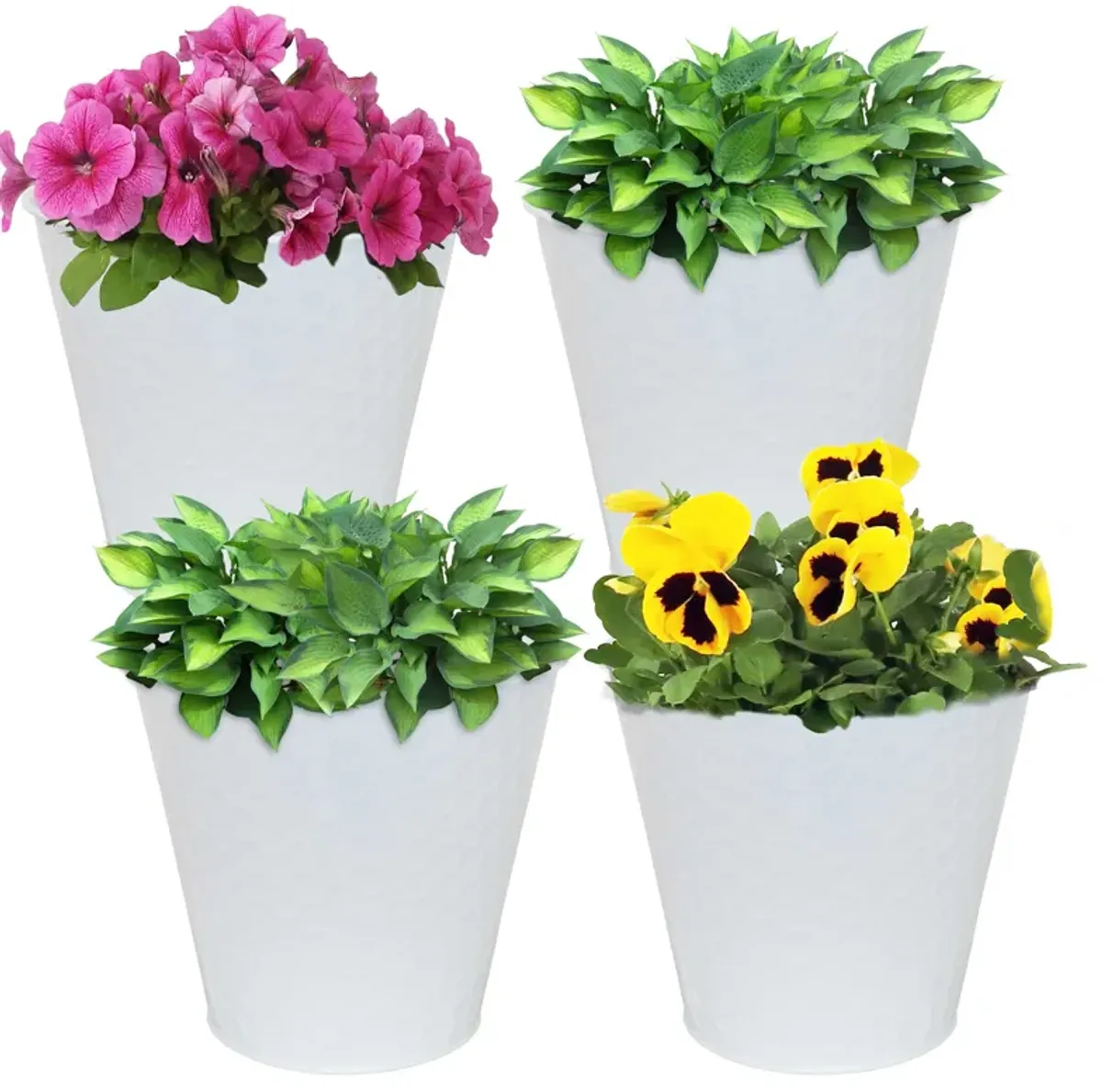 Sunnydaze Set of 4 Steel Buckets with Hexagon Pattern