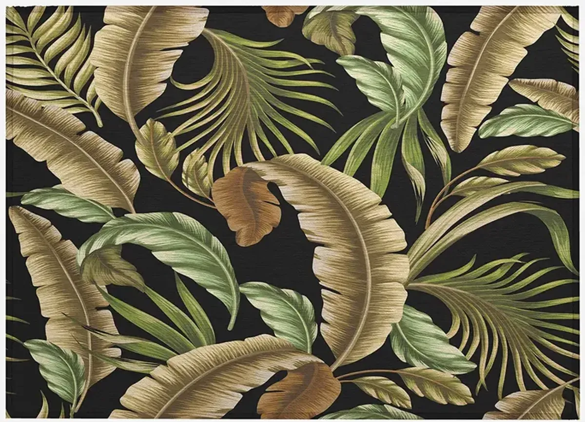 Tropics TC1 Black 20" x 30" Rug