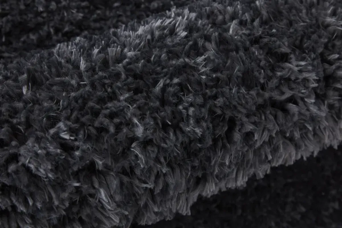 Darian 39K0F Black 2' x 3' Rug