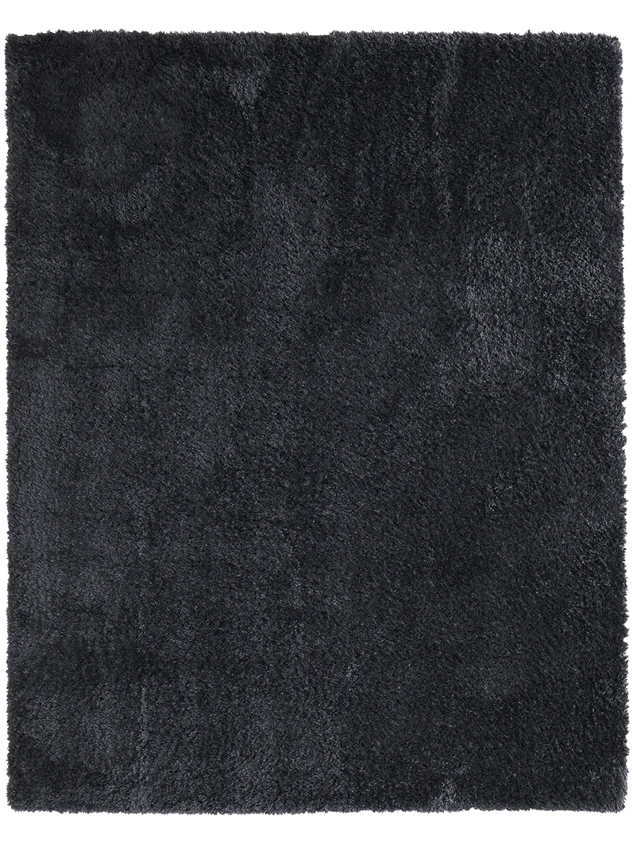 Darian 39K0F Black 2' x 3' Rug