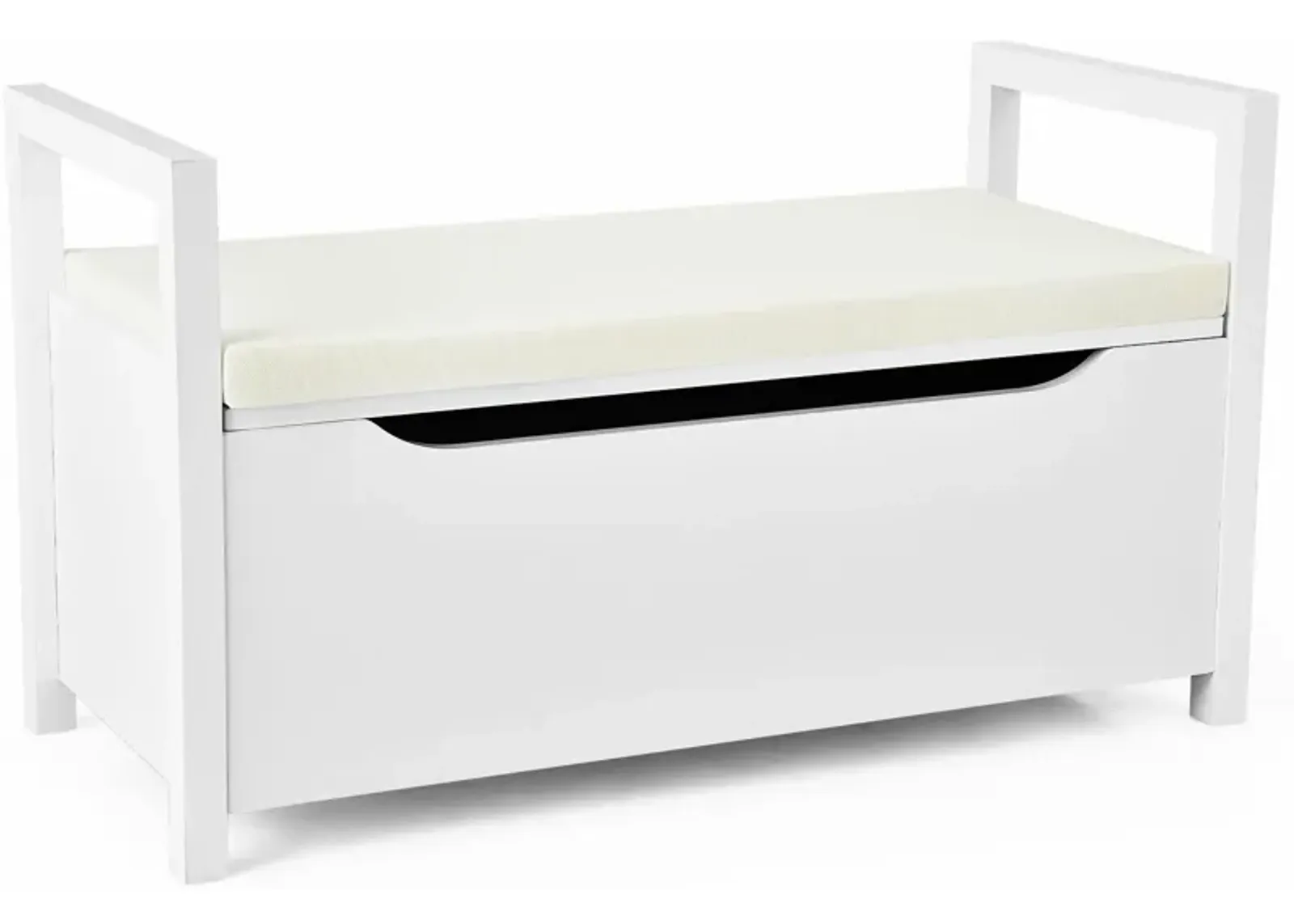 Shoe Storage Bench with Cushion Seat for Entryway