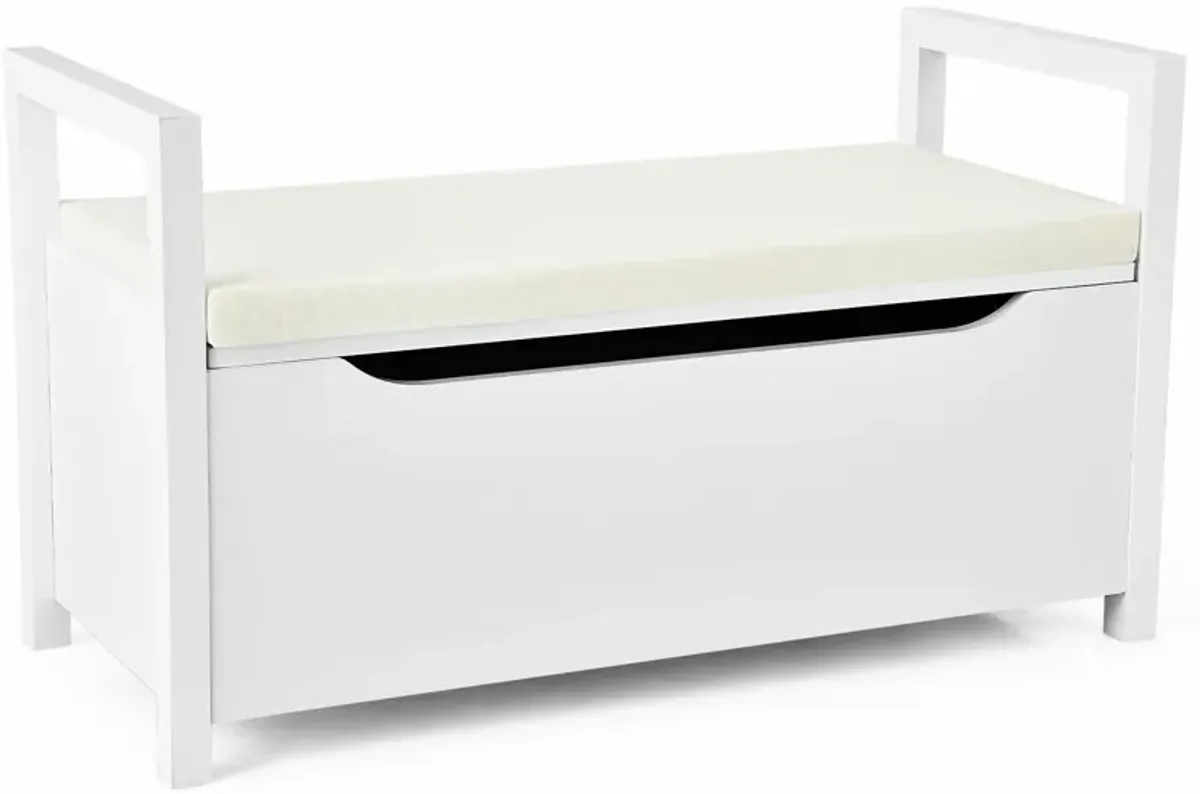 Shoe Storage Bench with Cushion Seat for Entryway