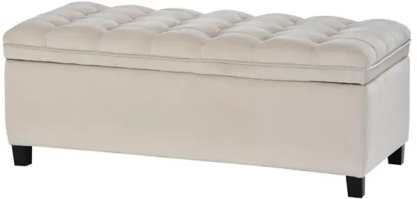 Storage Bench with Flip Button Tufted Top and Sleek Legs, Beige-Benzara