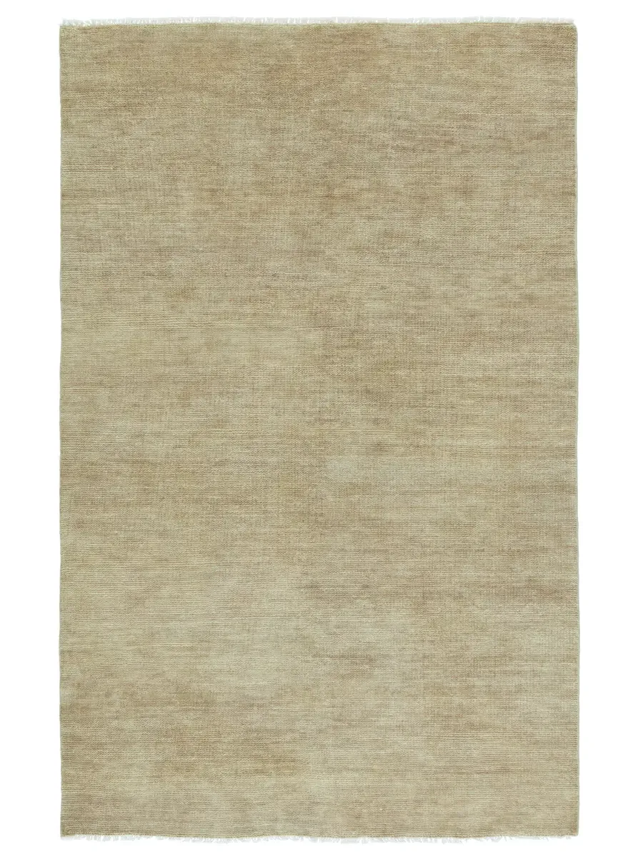 Saga Origin Tan/Taupe 6' x 9' Rug