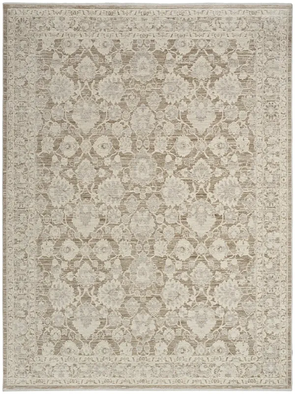 Shadows SHW03 Ivory/Mocha 10' x 13' Rug