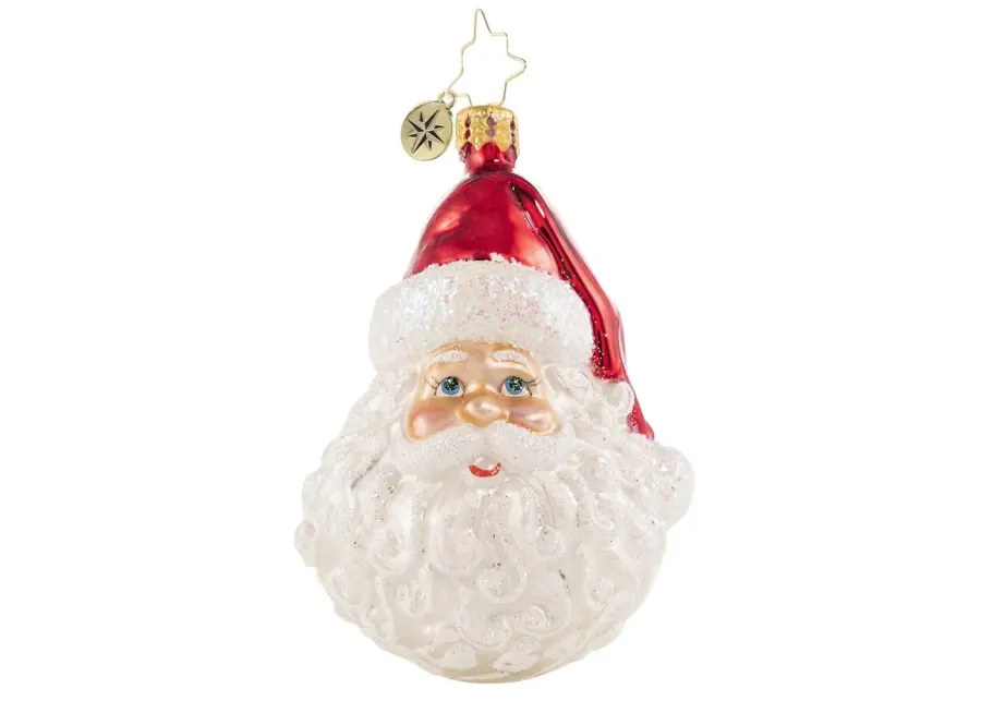 Christopher Radko Classic St. Nick Gem Glass Christmas Ornament 1020647