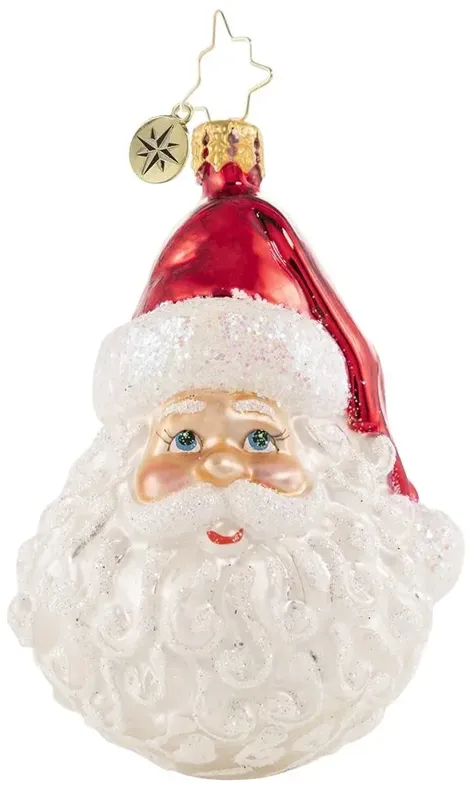 Christopher Radko Classic St. Nick Gem Glass Christmas Ornament 1020647