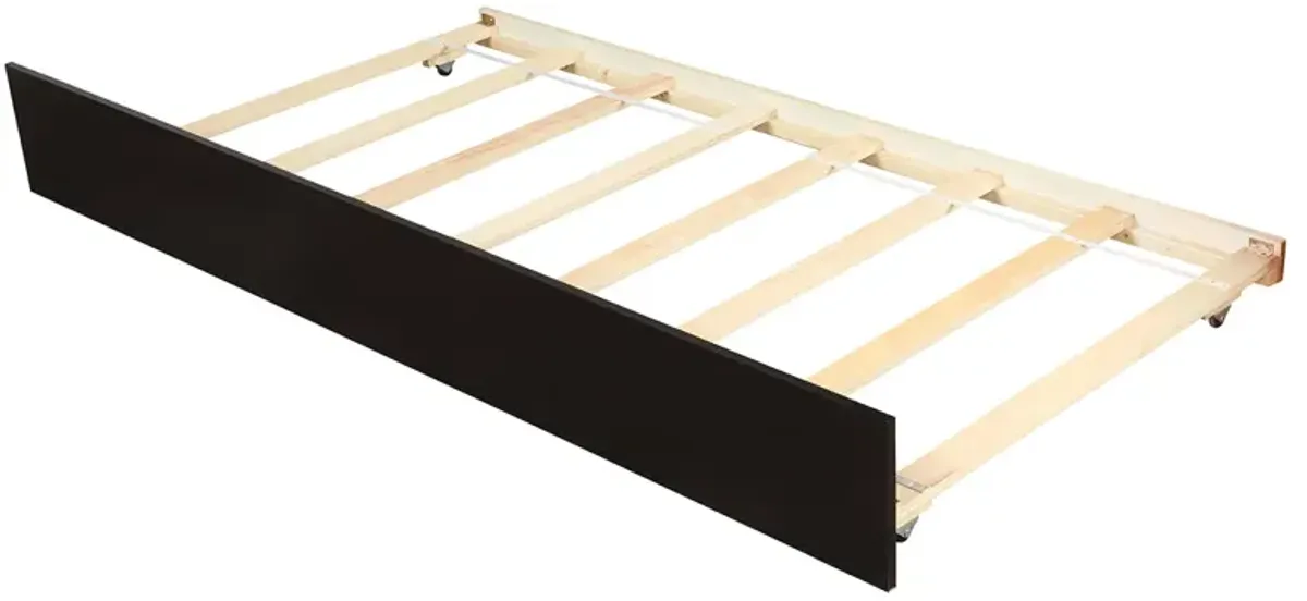 Minimalistic Wood Platform Bed with Trundle